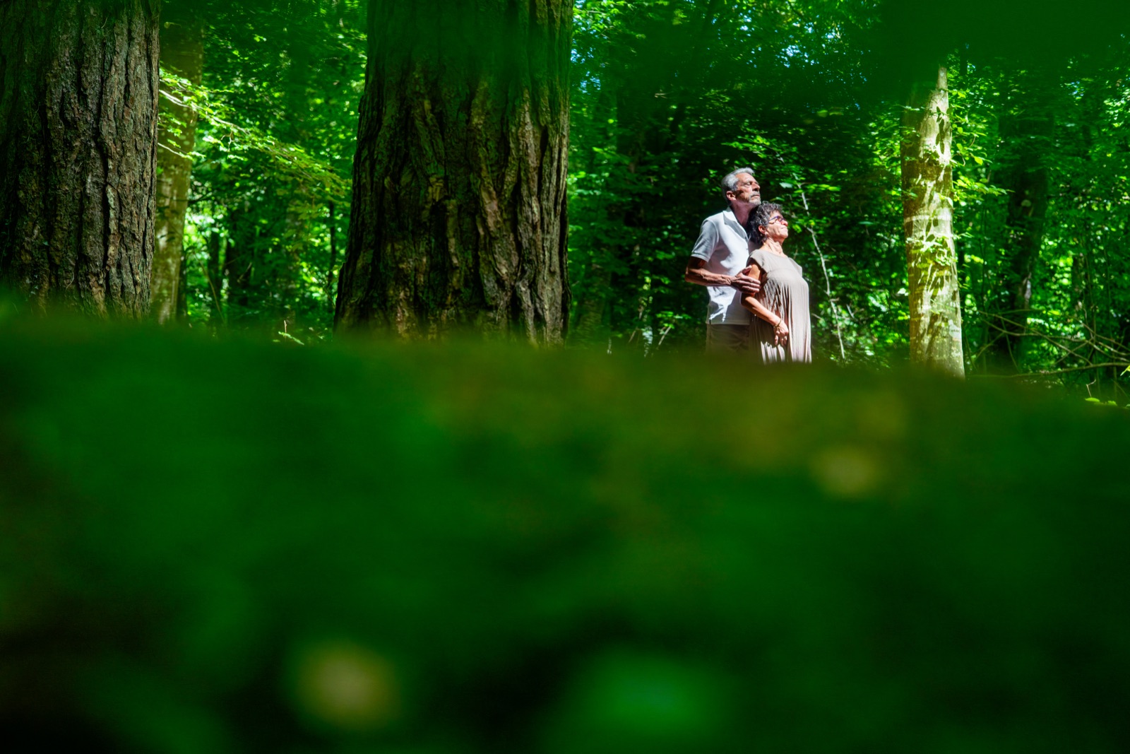 Séance couple en forêt de Balleroy — Jacques et Isabelle, Calvados