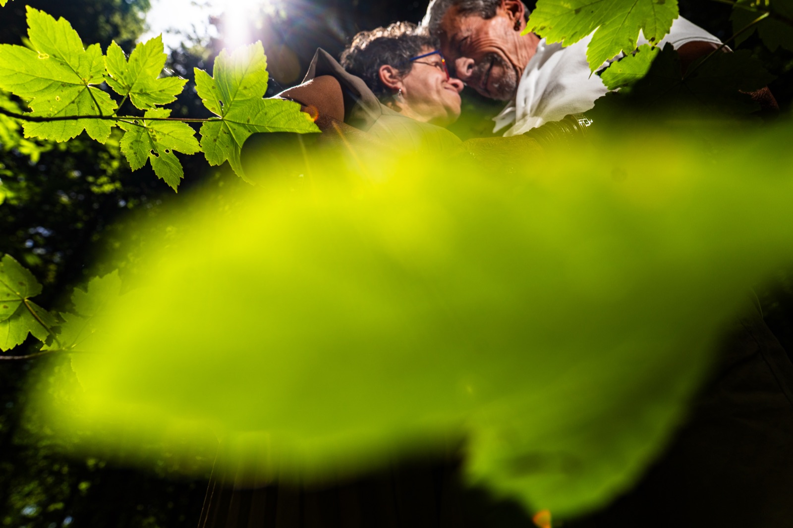 Séance couple · Forêt de Balleroy — Arnaud Chapelle photographe Normandie