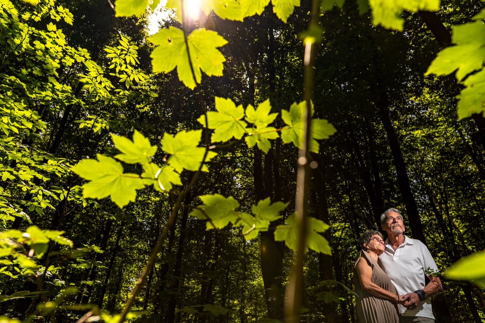 Séance couple · Forêt de Balleroy — Arnaud Chapelle