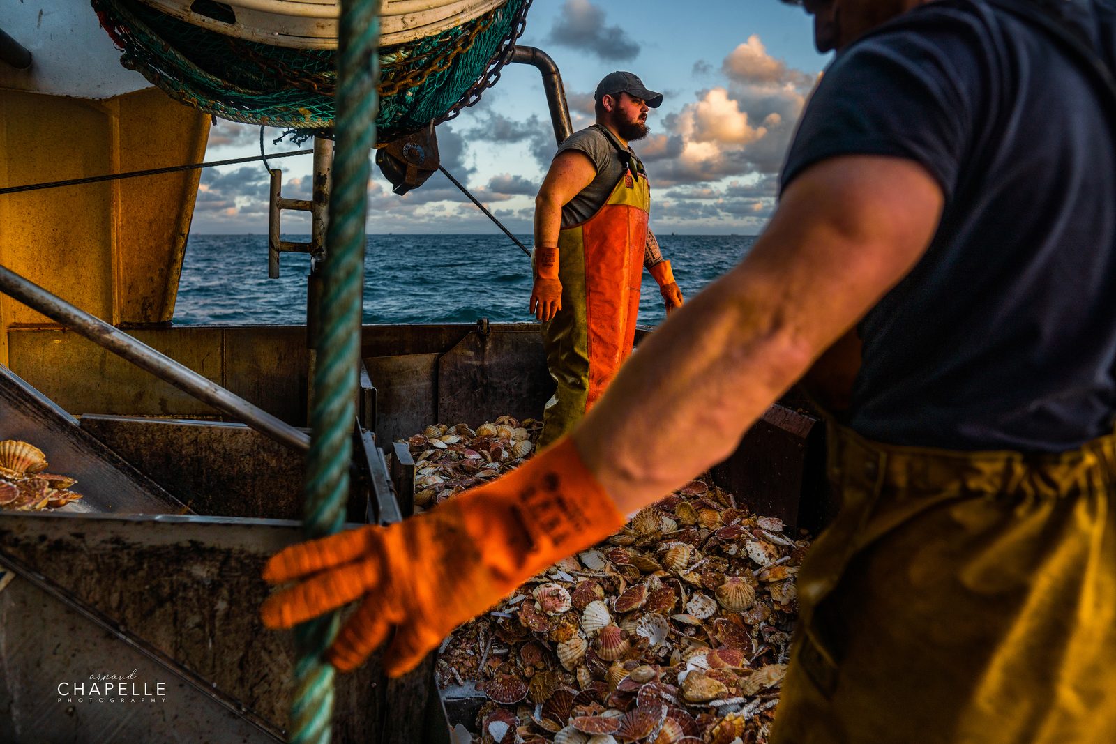 Un gant orange au premier plan, un marin au tri des coquilles, la mer derrière — Télémaque — Arnaud Chapelle