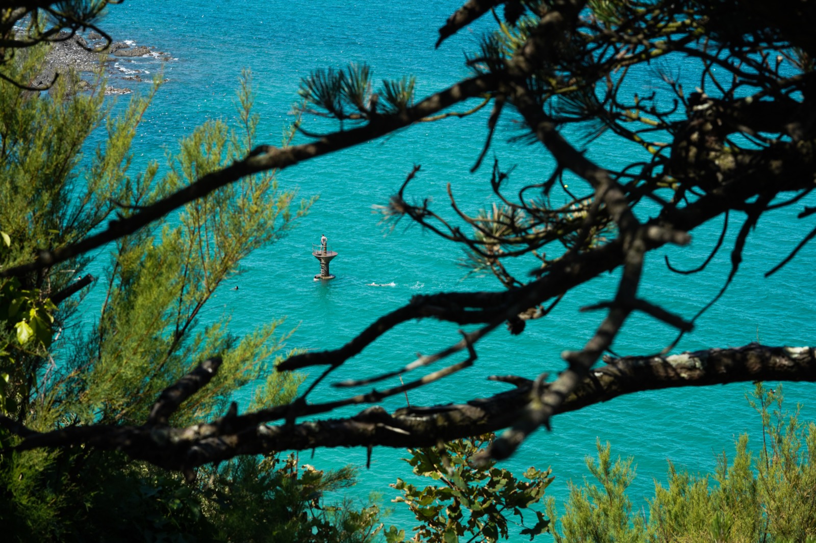 La mer turquoise aperçue entre les branches des pins qui bordent la falaise — Château de la Crête, Granville — Arnaud Chapelle