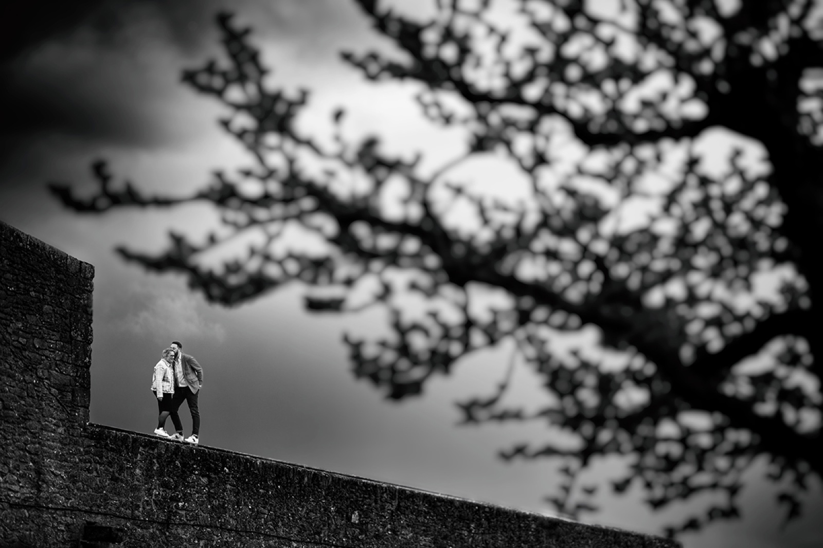 Le couple marche au sommet d'un mur, silhouettes sous les branches, en noir et blanc — séance engagement à Saint-Malo — Arnaud Chapelle