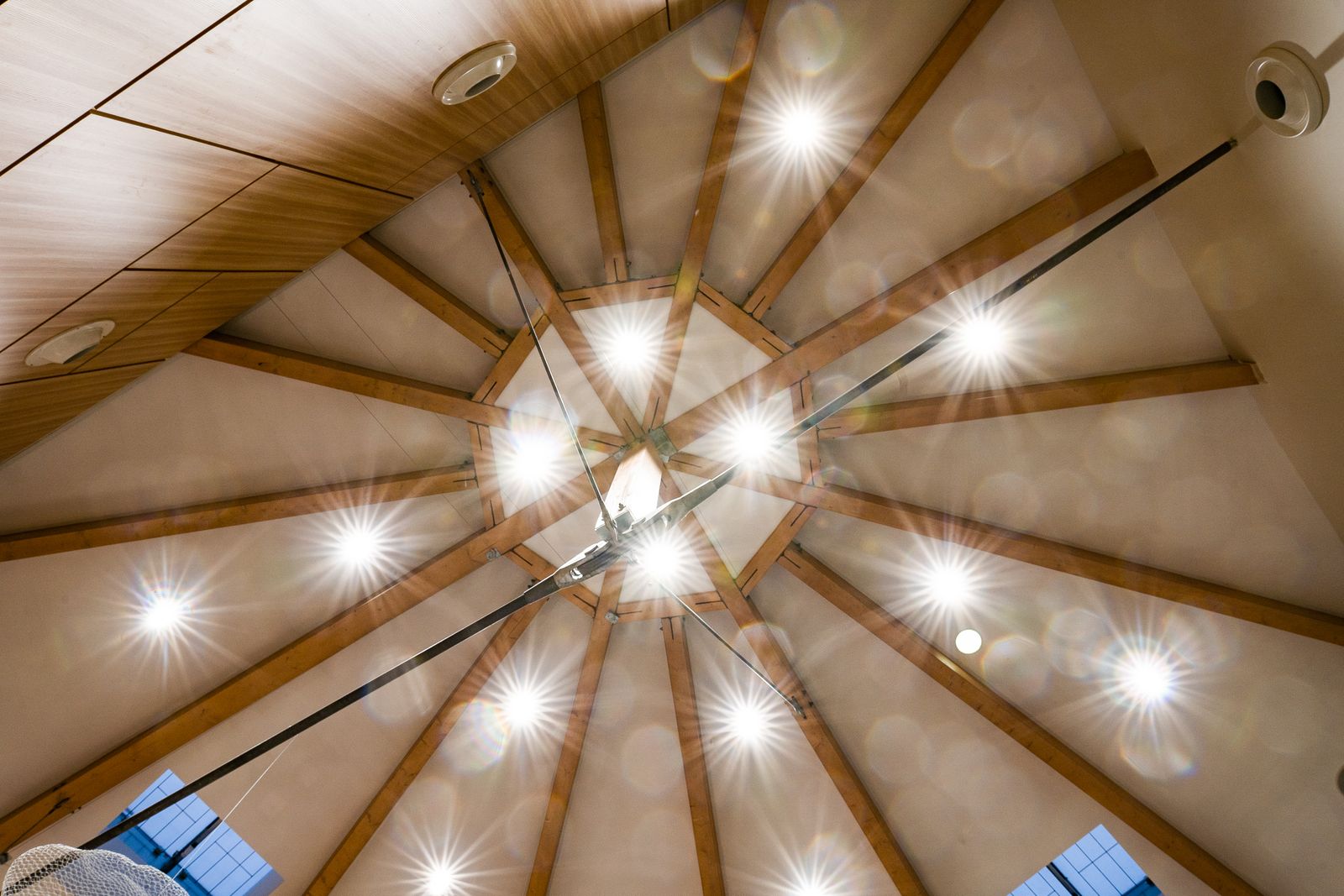 Radiating timber roof structure and pendant lights