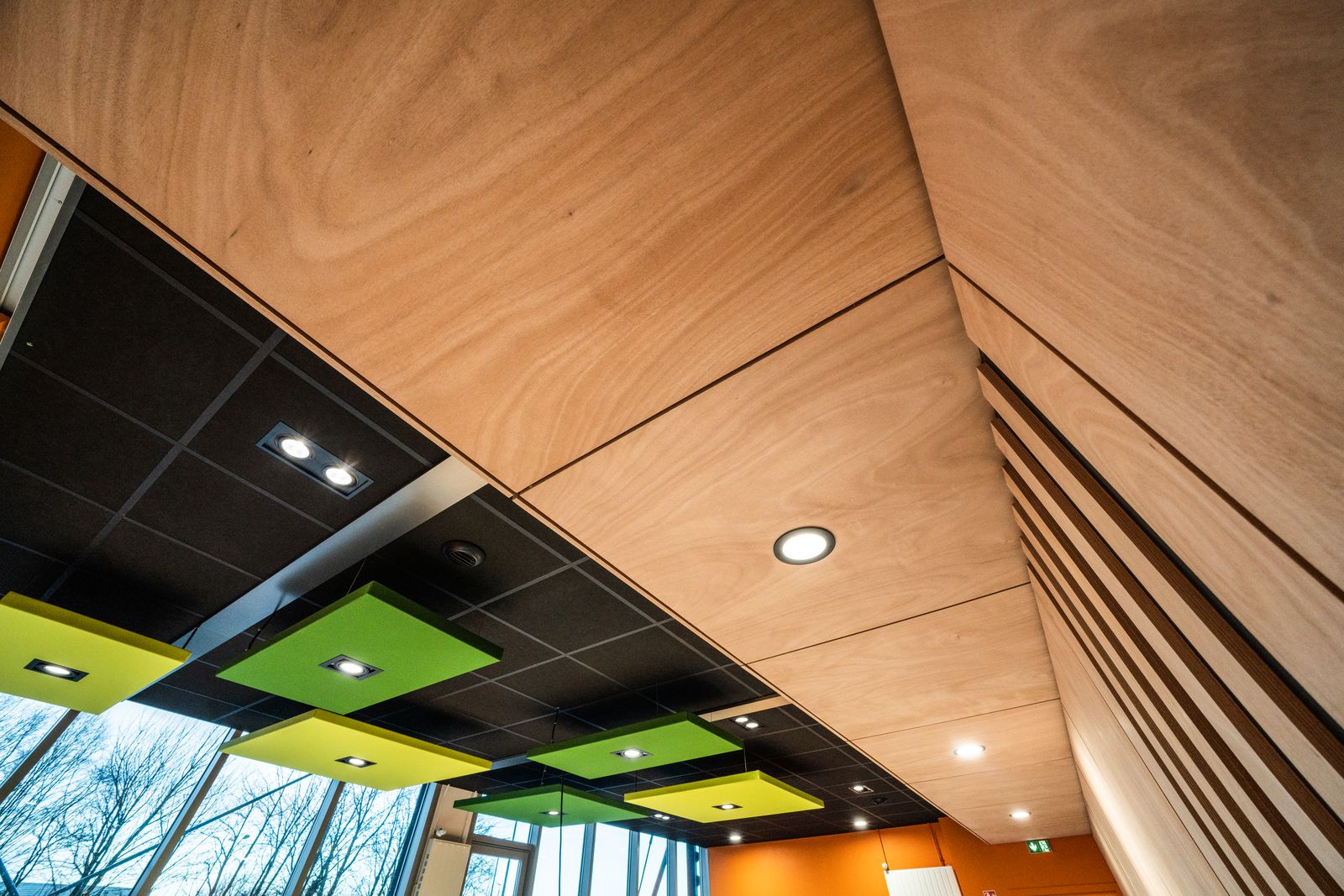 Timber ceiling and coloured acoustic panels