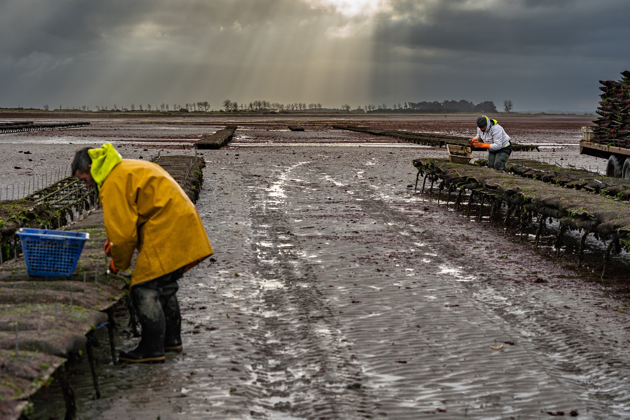 Photographe corporate dans le Calvados — Arnaud Chapelle