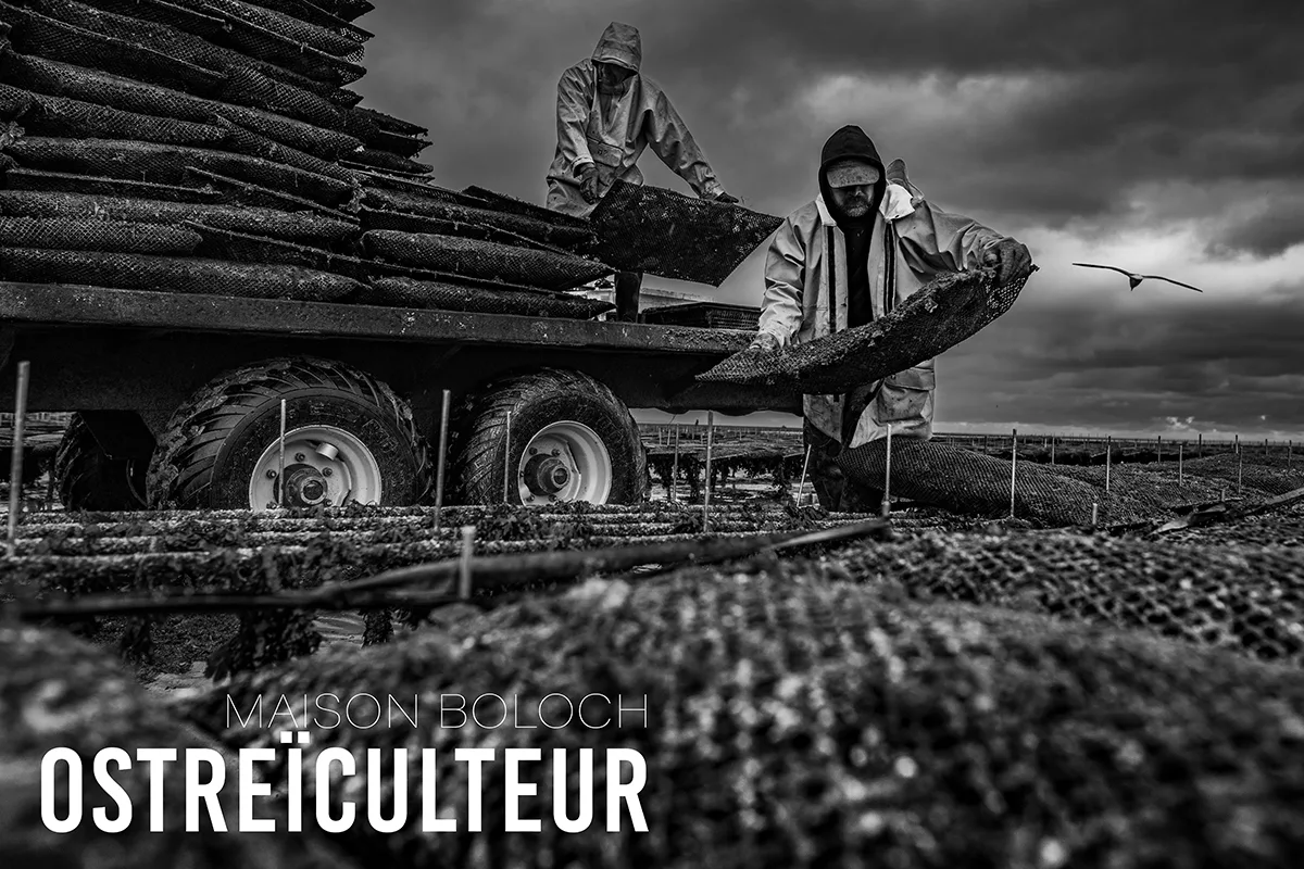 Portrait d'équipe en Manche — Arnaud Chapelle