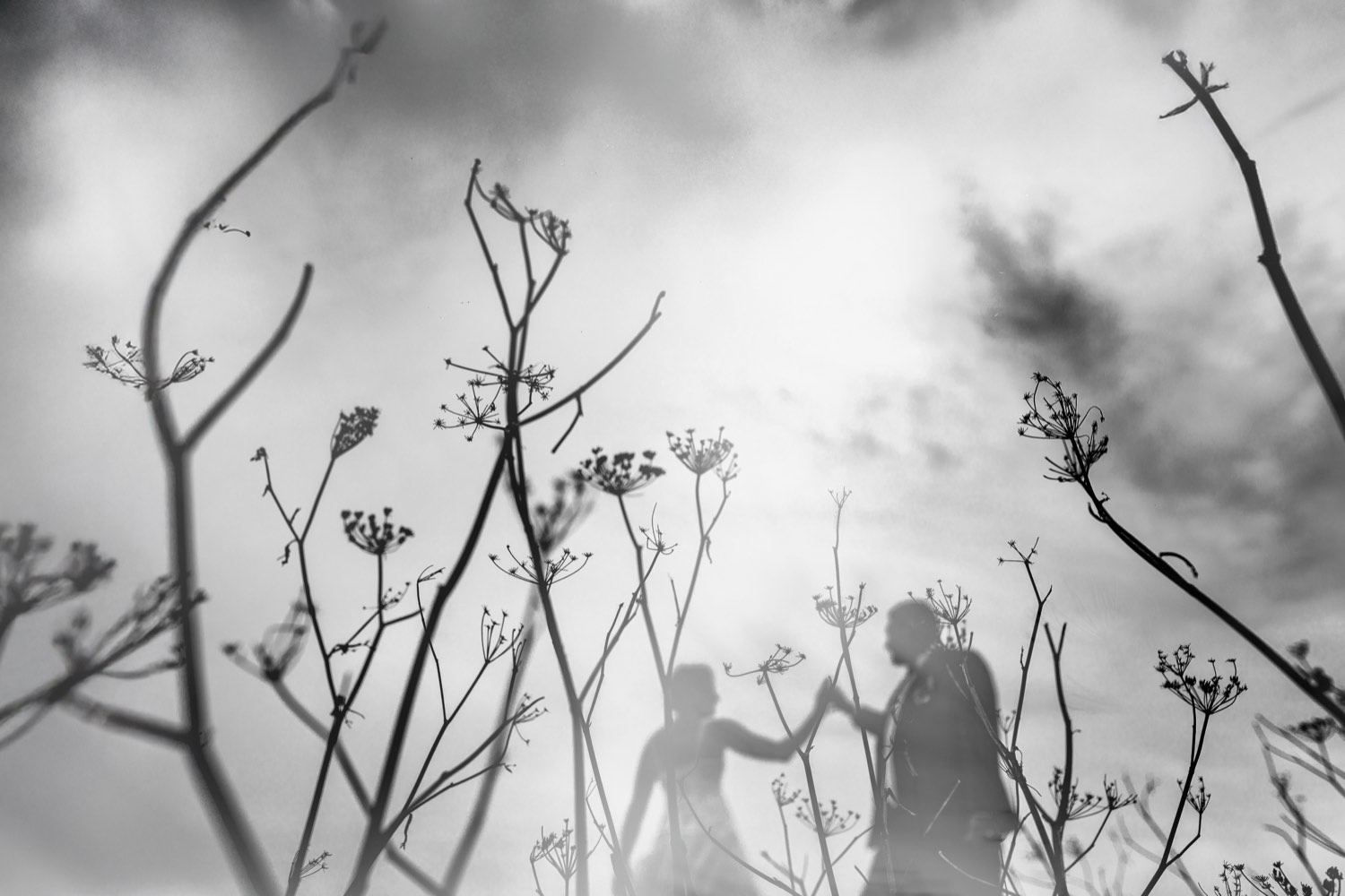 Double exposure of a couple among wild flowers — creative wedding photography in Normandy