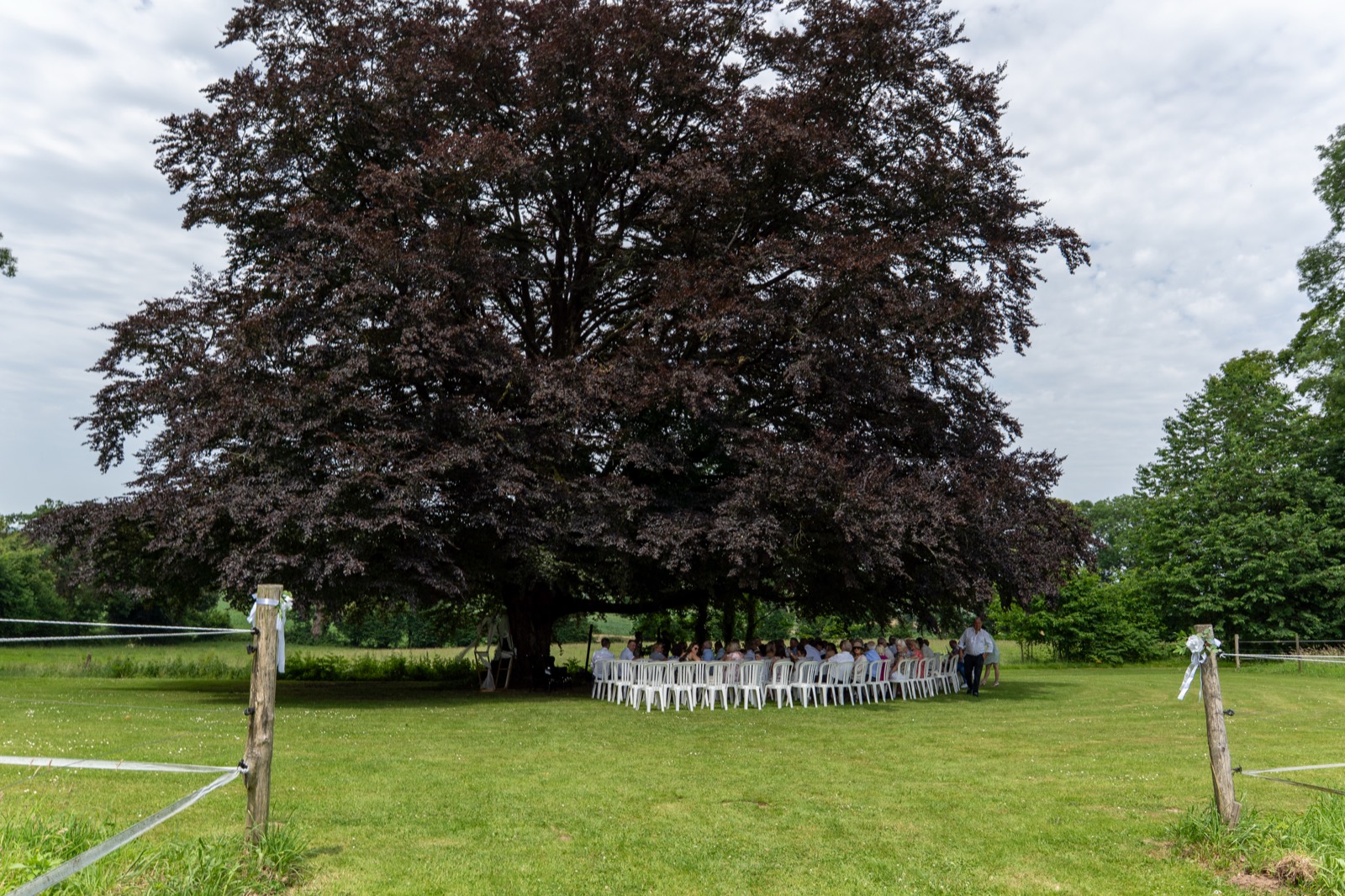 Grande tablée dressée en plein air sous un hêtre pourpre — mariage aux Châteaux de La Lucerne d'Outremer (Manche) — Arnaud Chapelle