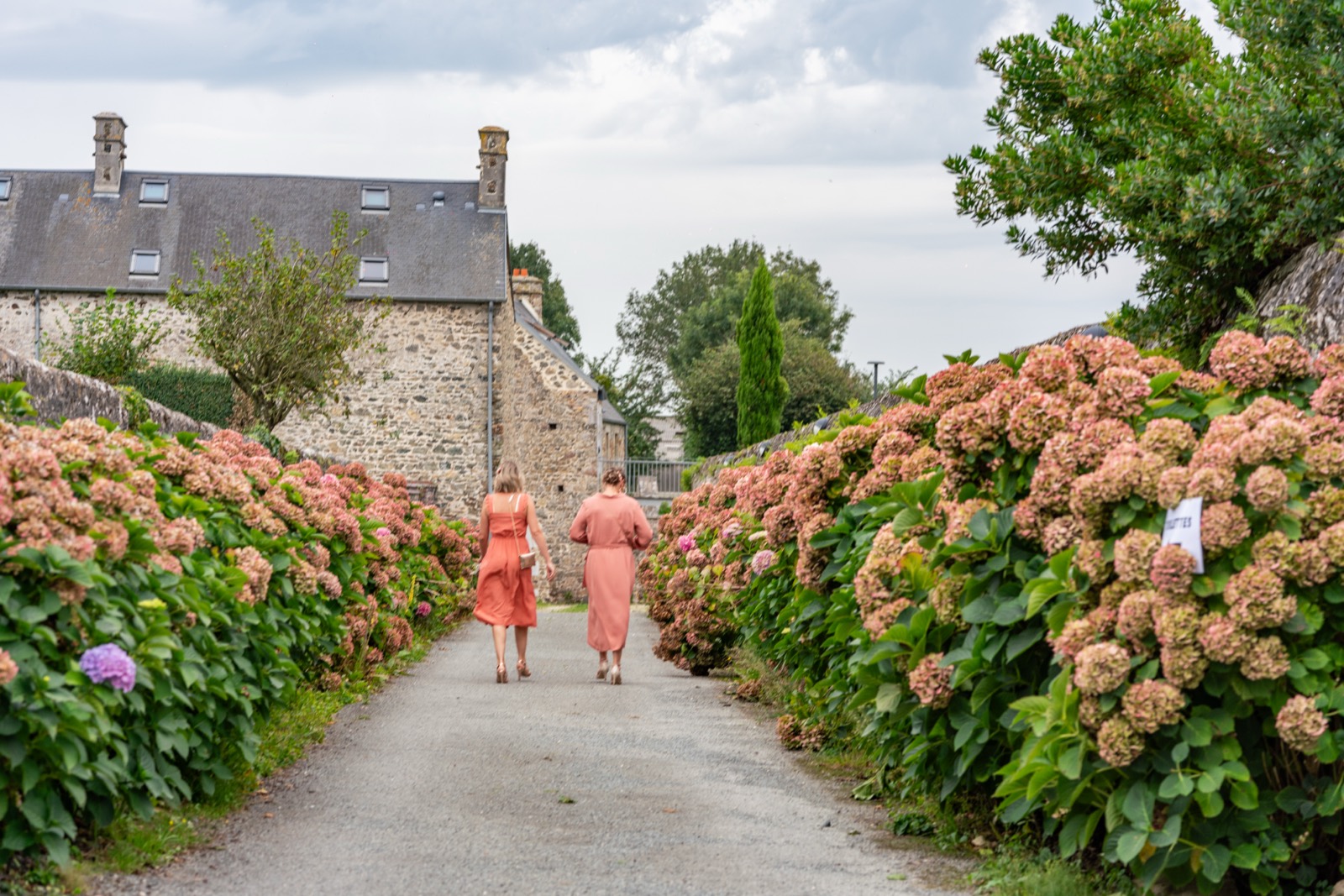 Allée d'hortensias vers le manoir de pierre — mariage à la Maison Desnos, Tourville-sur-Sienne — Arnaud Chapelle