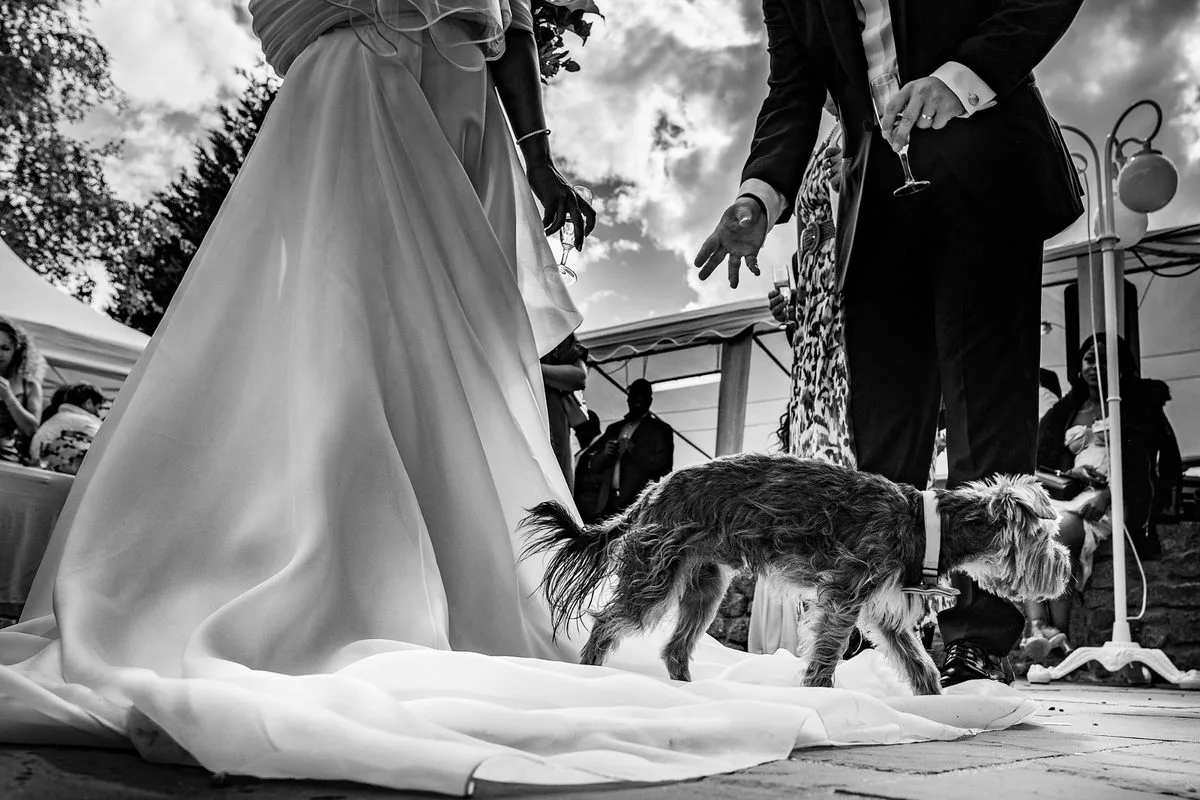 Photographe de mariage en Normandie — Arnaud Chapelle